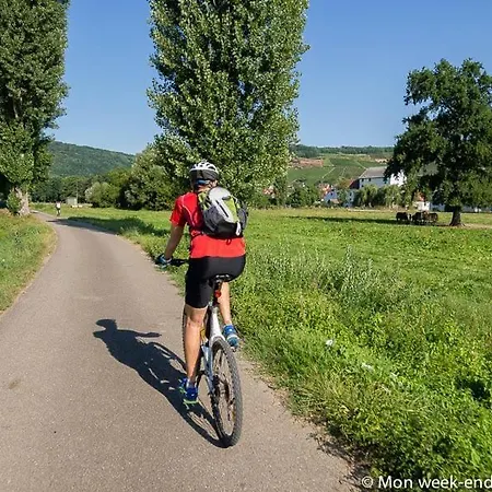 Les Grenouilles Le Mesnil-Simon (Calvados)