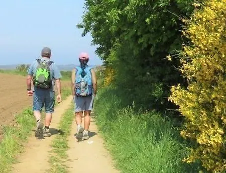 Les Grenouilles * Le Mesnil-Simon (Calvados)