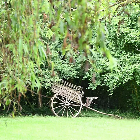 Les Grenouilles * Le Mesnil-Simon (Calvados)