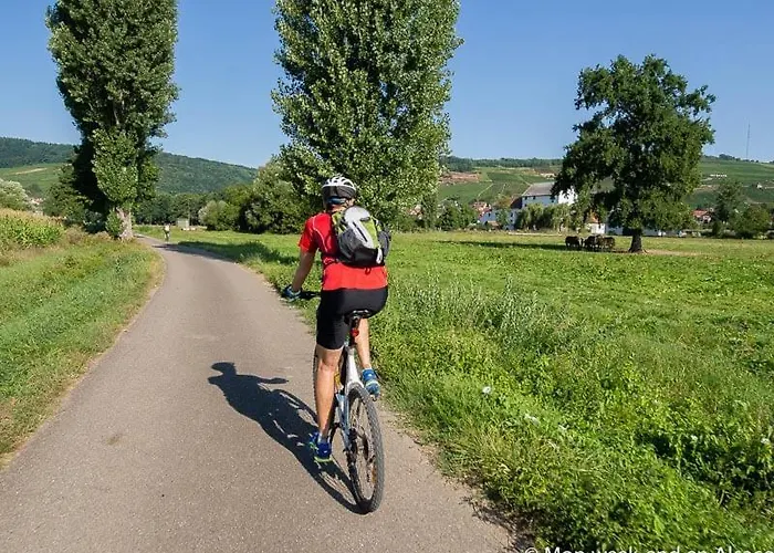 Les Grenouilles Le Mesnil-Simon (Calvados)