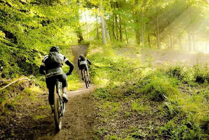 Les Grenouilles Vakantiehuis *