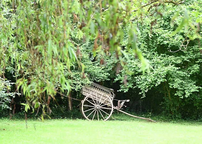 Les Grenouilles * Le Mesnil-Simon (Calvados)